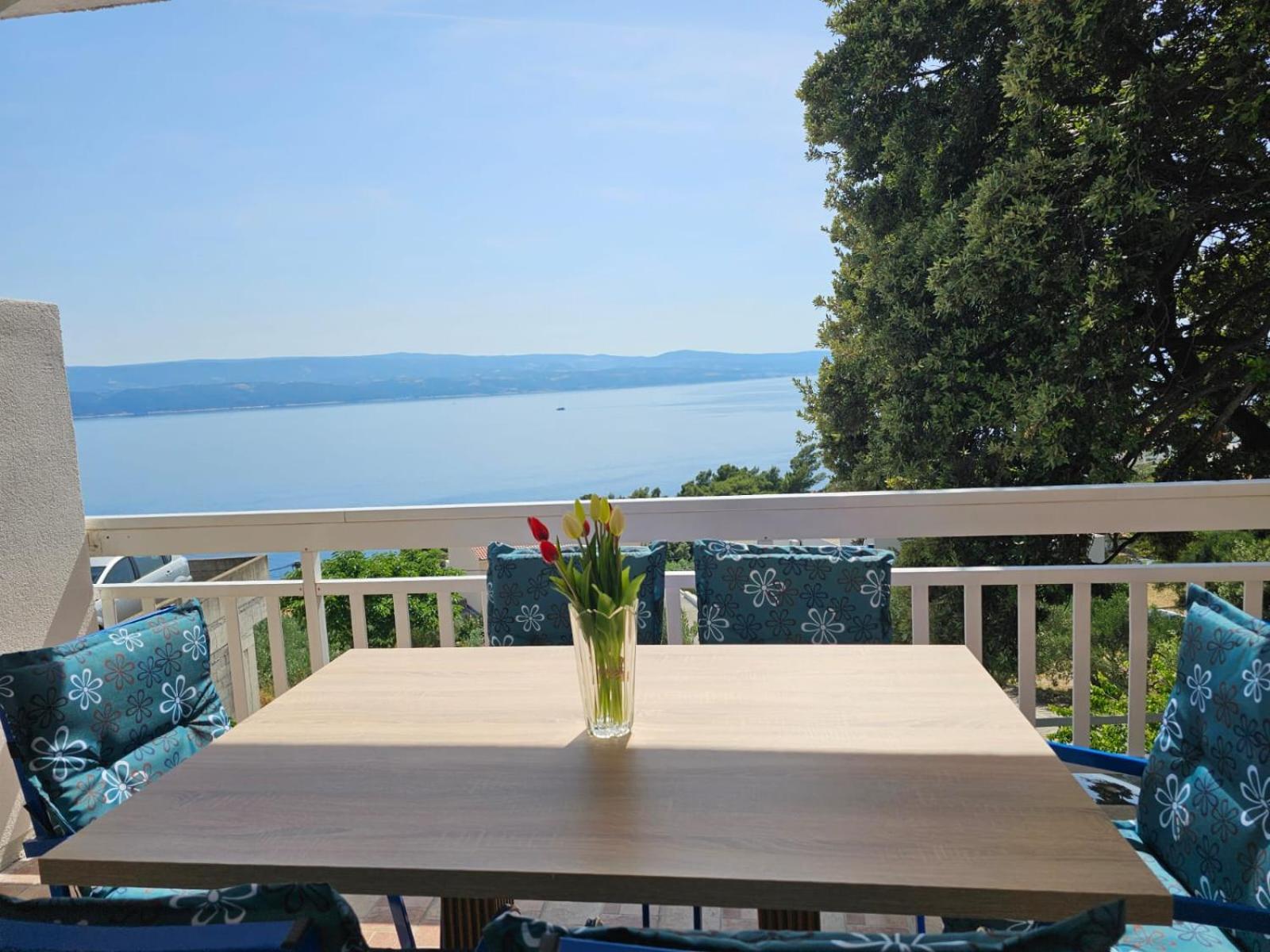 Villa Roing S Stanici エクステリア 写真