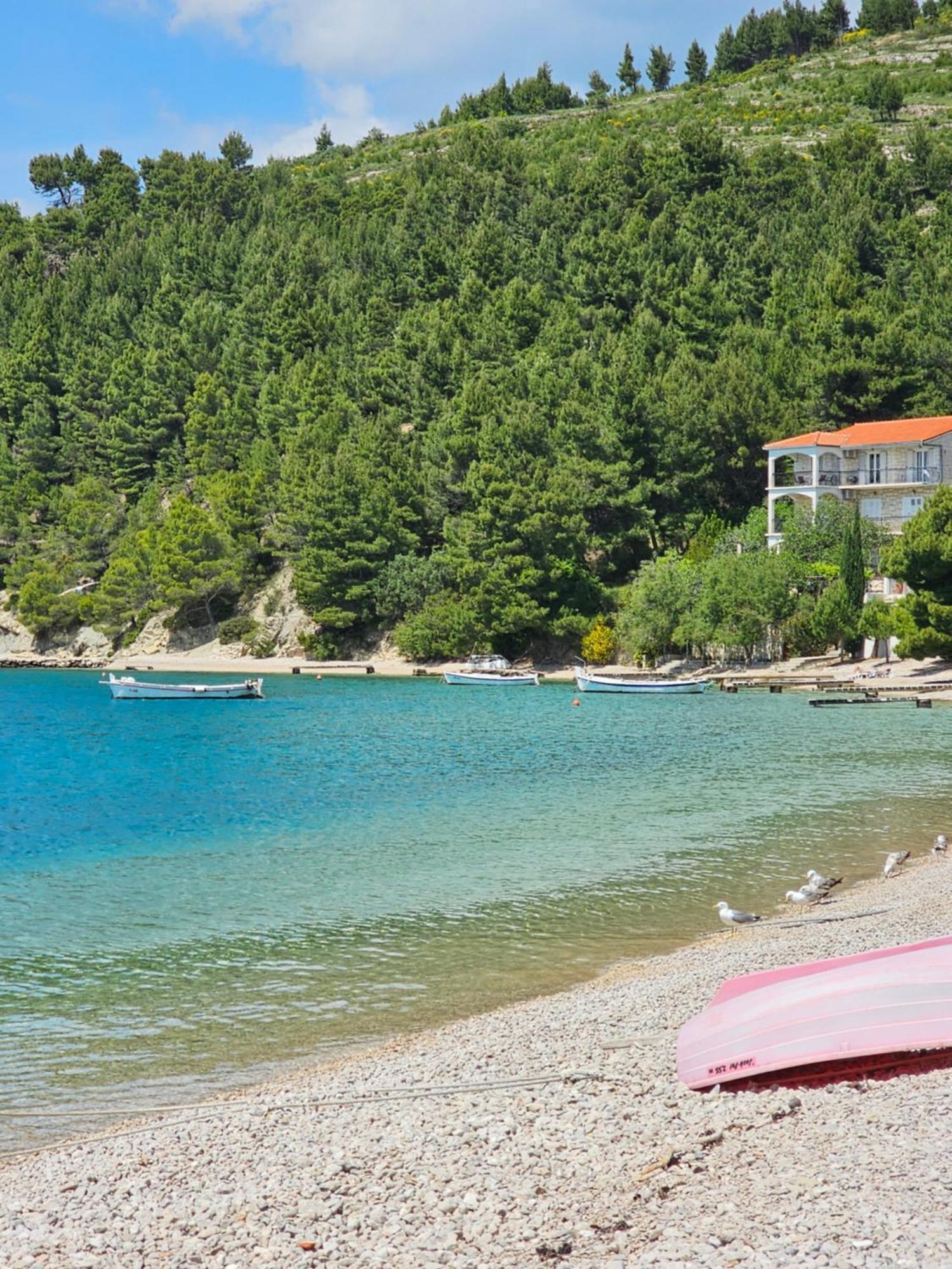 Villa Roing S Stanici エクステリア 写真