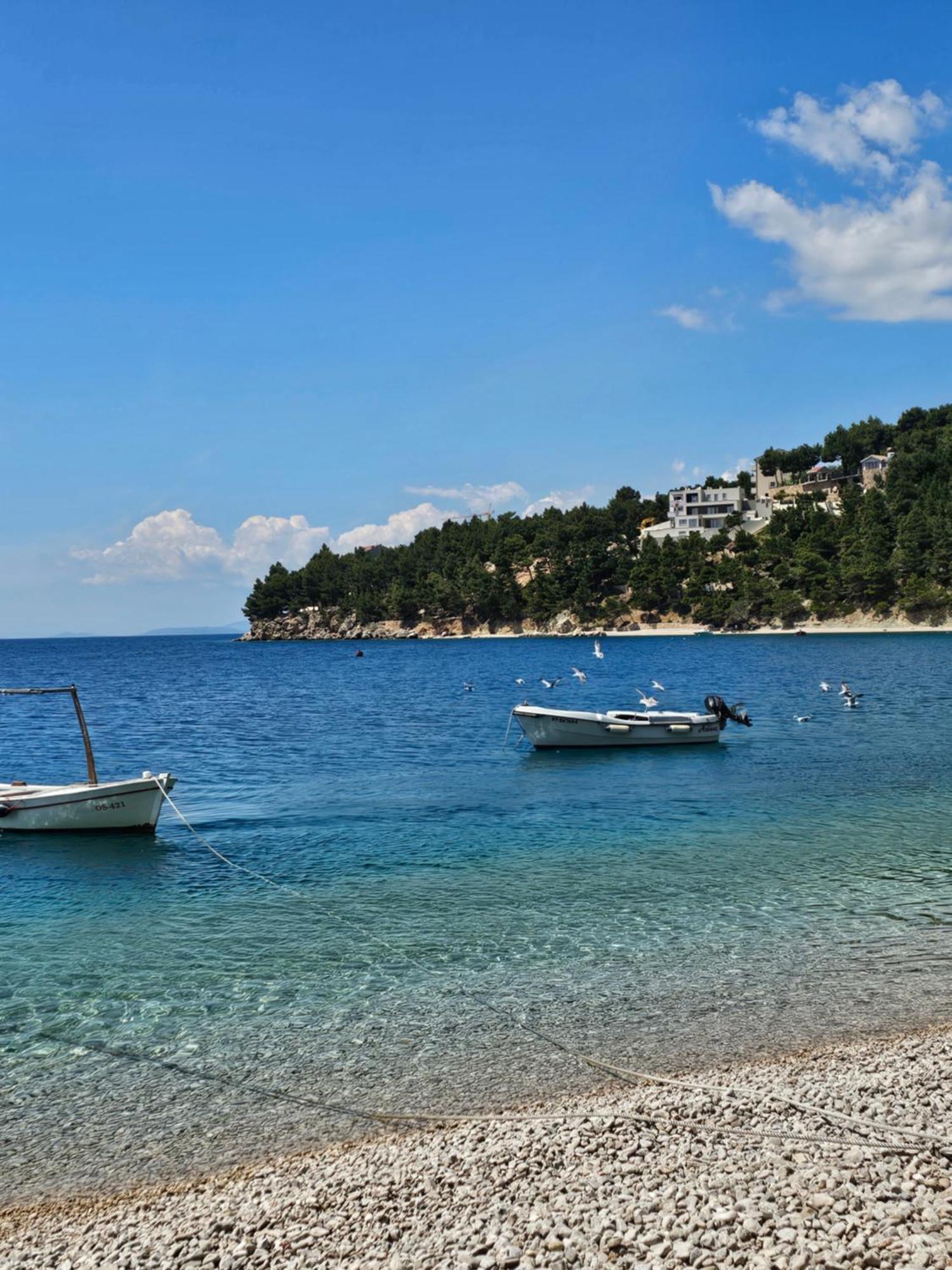 Villa Roing S Stanici エクステリア 写真