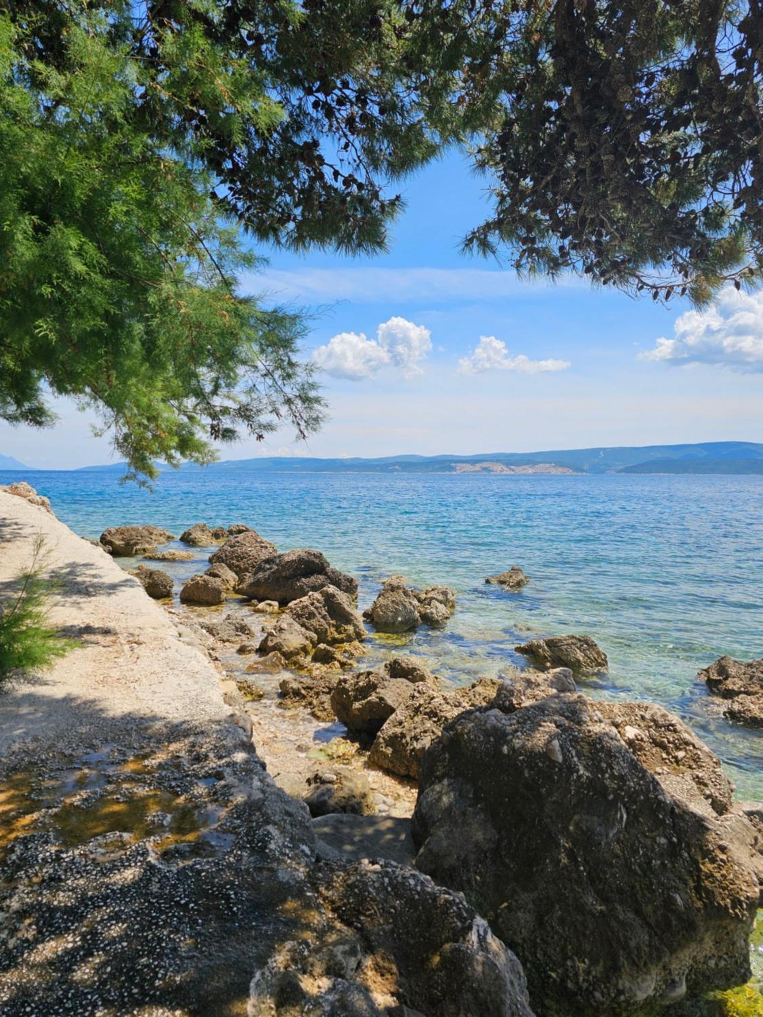 Villa Roing S Stanici エクステリア 写真
