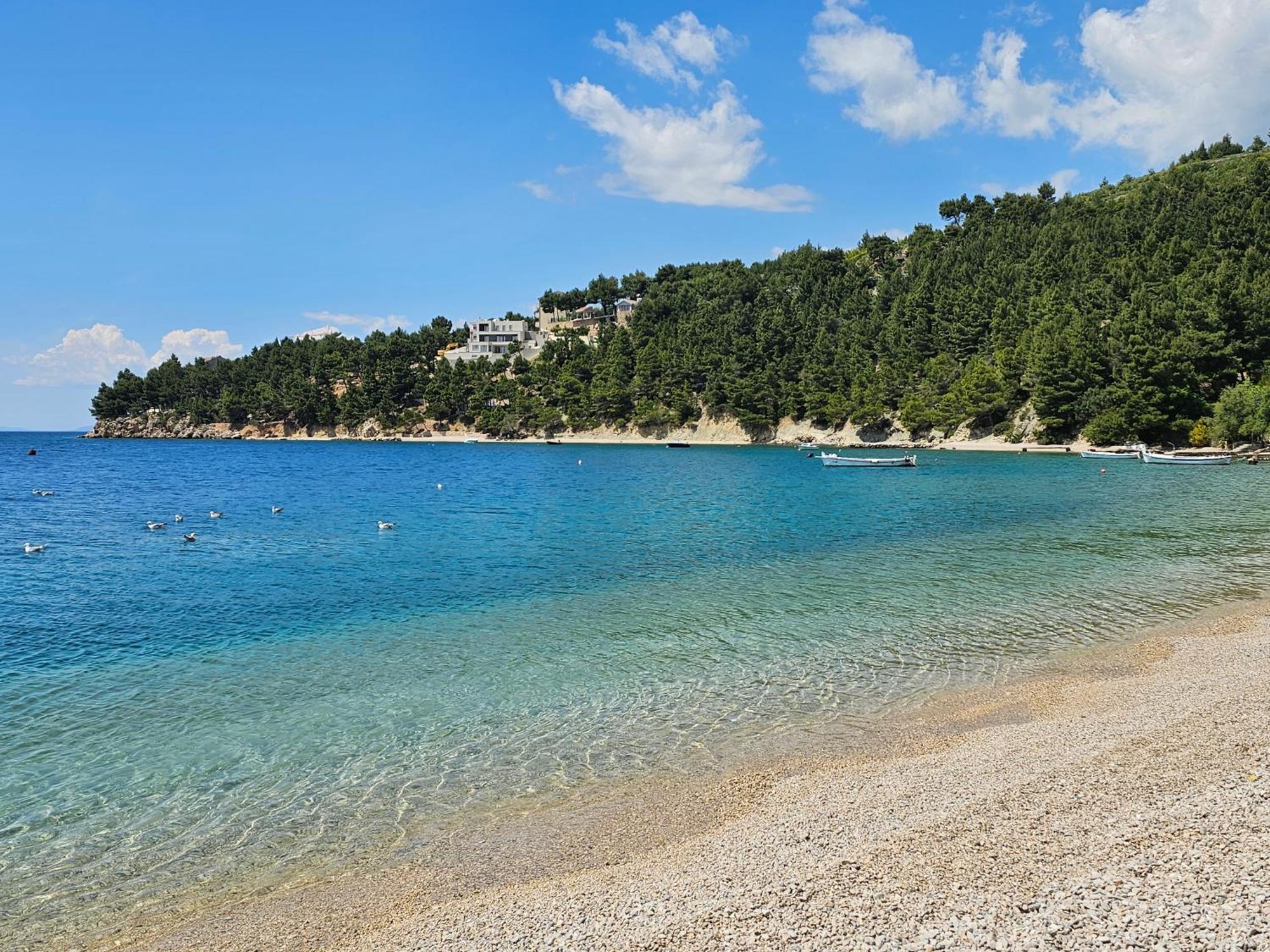 Villa Roing S Stanici エクステリア 写真